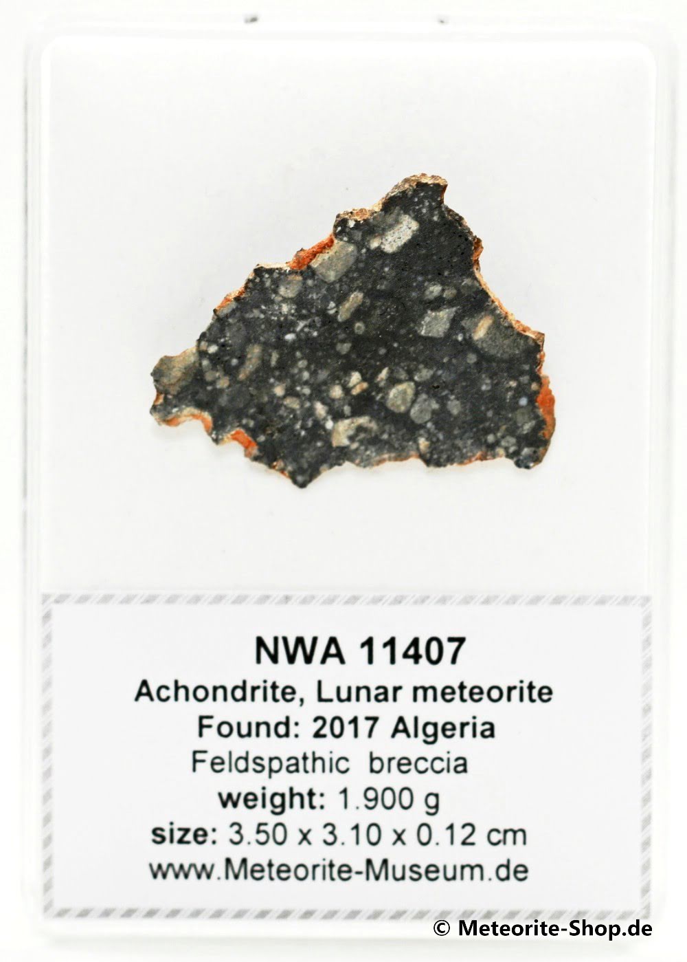 NWA 11407 Mond Meteorit - 1,900 g