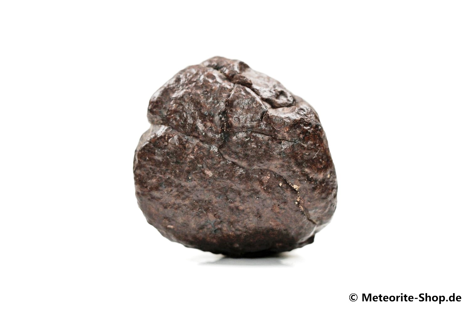 NWA Zagora Meteorit - 42,00 g