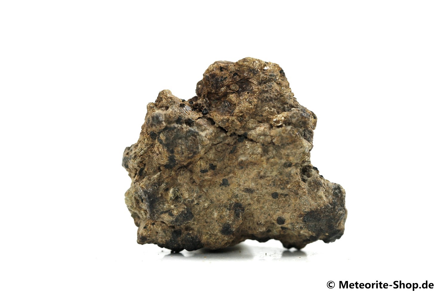 NWA 12953 Meteorit - 29,20 g