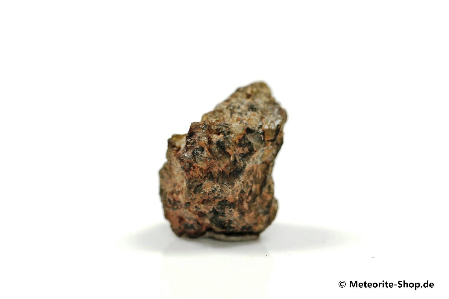 NWA 7831 Meteorit - 2,50 g