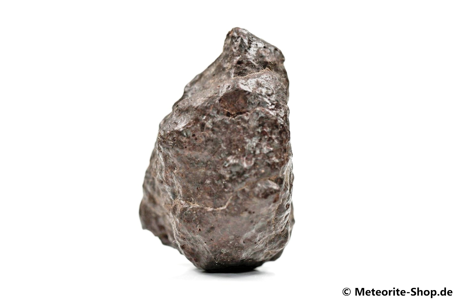 NWA Agadir Meteorit - 40,80 g