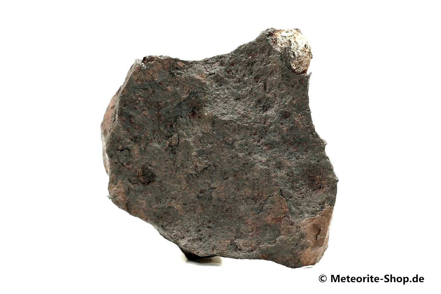 Canyon Diablo Meteorit - 335,80 g