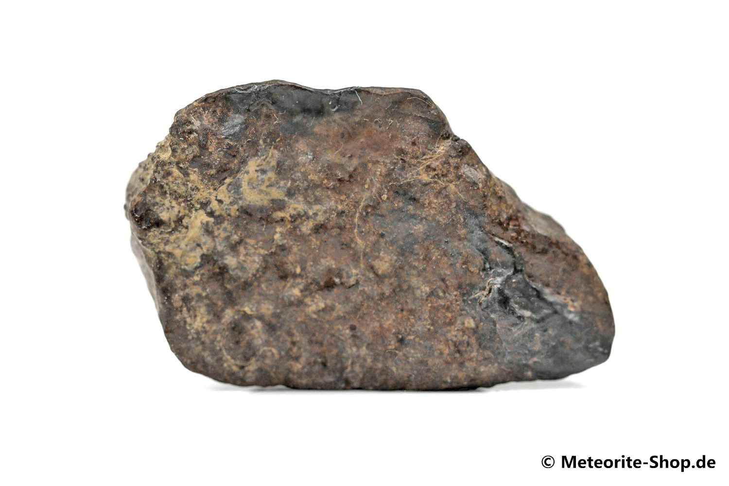 NWA Sahara Meteorit - 52,40 g