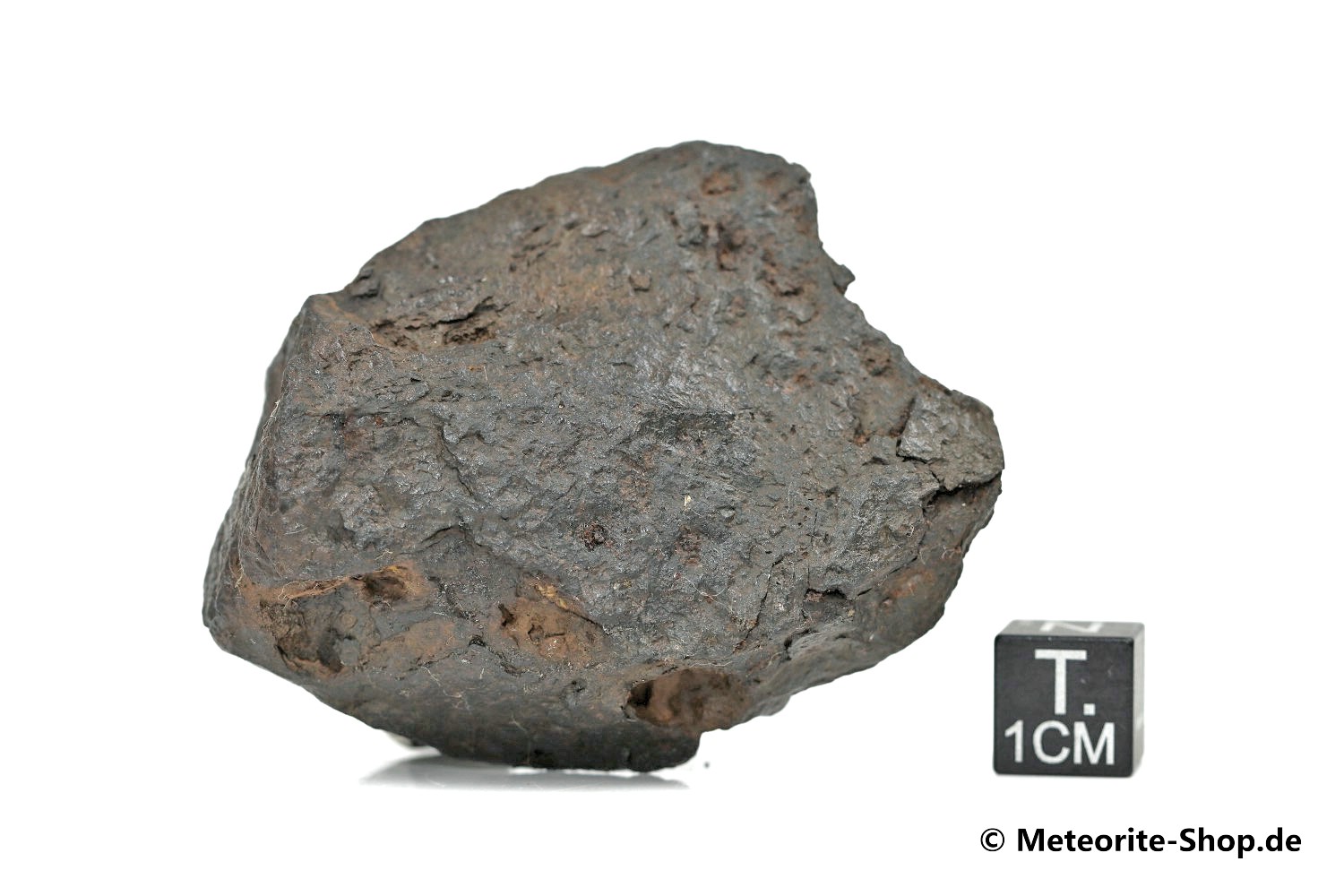 Canyon Diablo Meteorit - 155,00 g