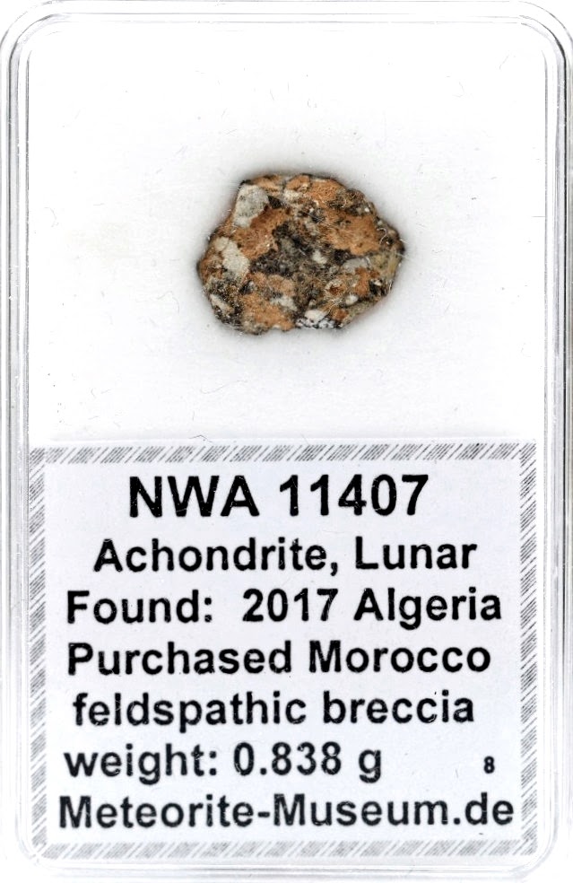 NWA 11407 Mond Meteorit - 0,838 g