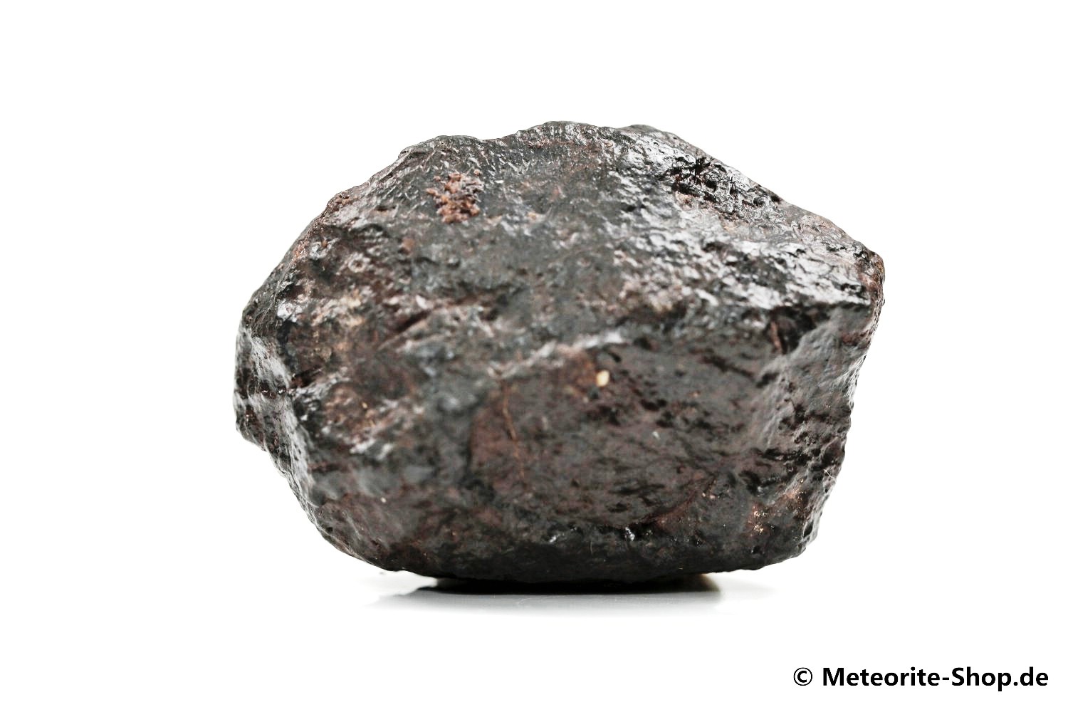 NWA Zagora Meteorit - 35,50 g