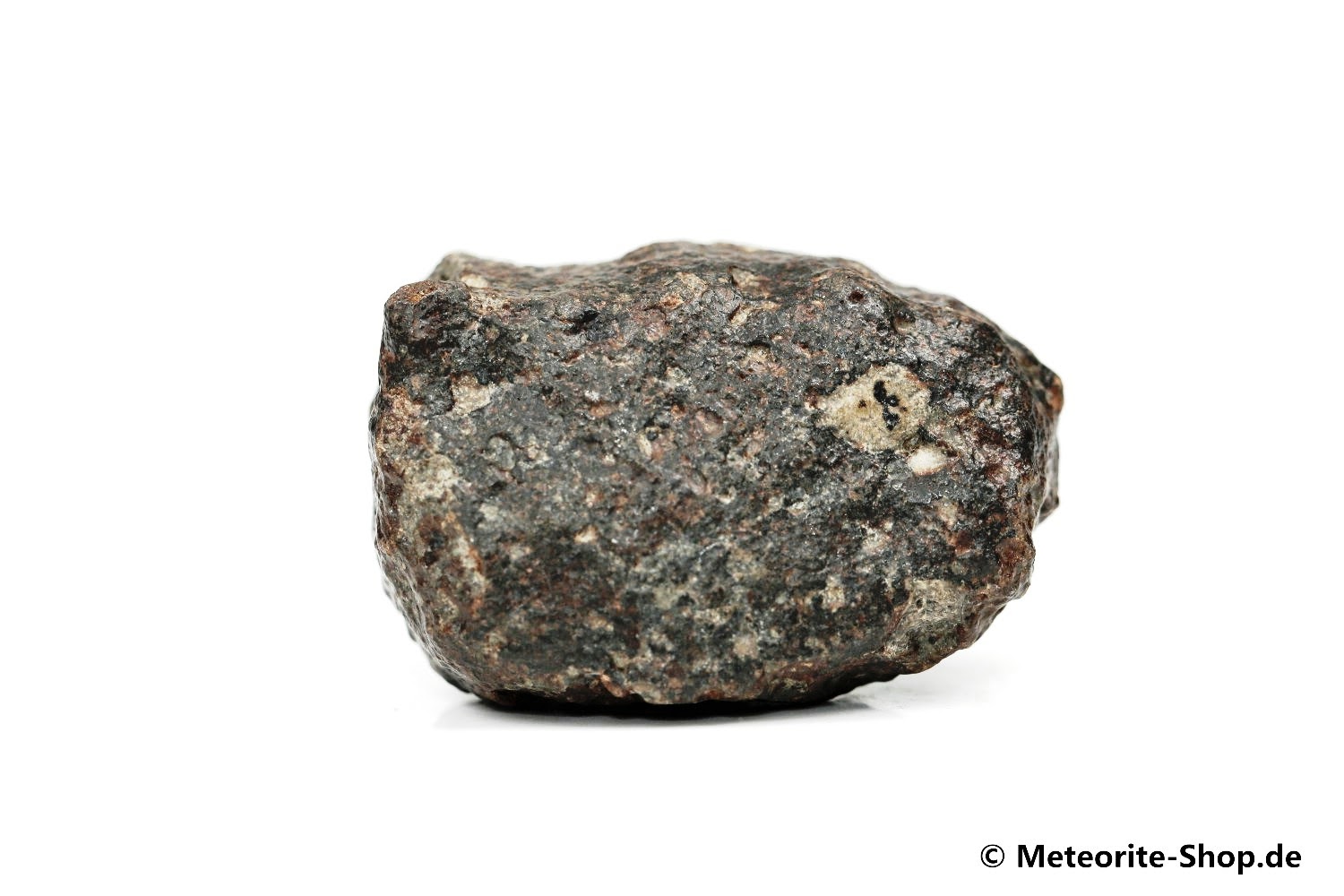 NWA 869 Meteorit - 57,30 g