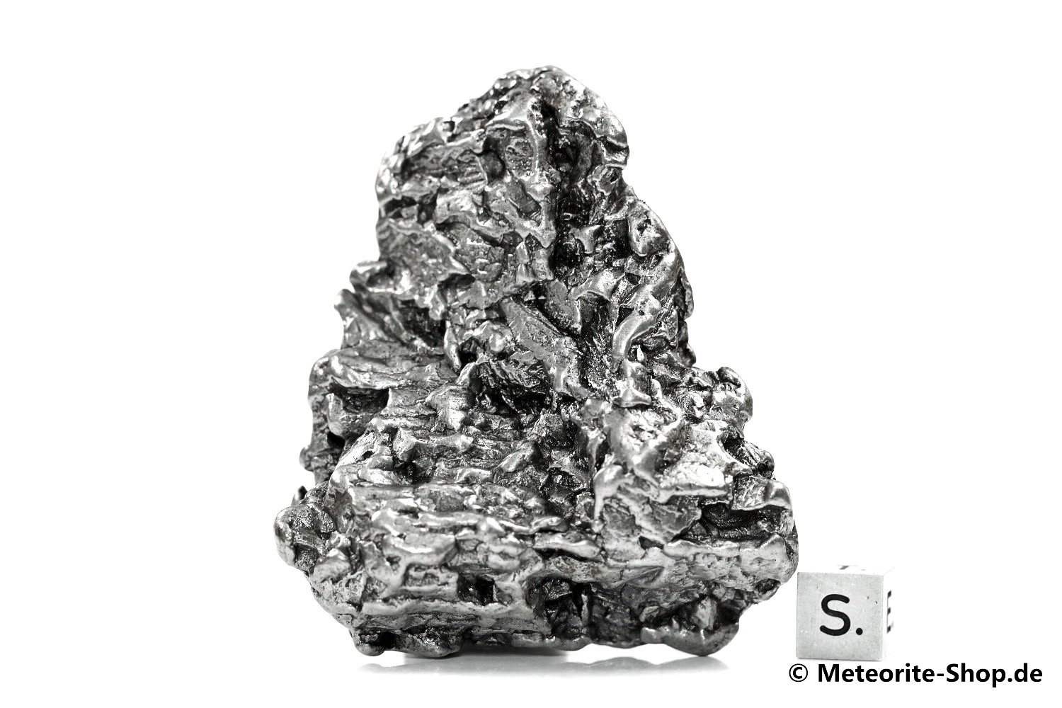 Campo del Cielo Meteorit - 322,80 g