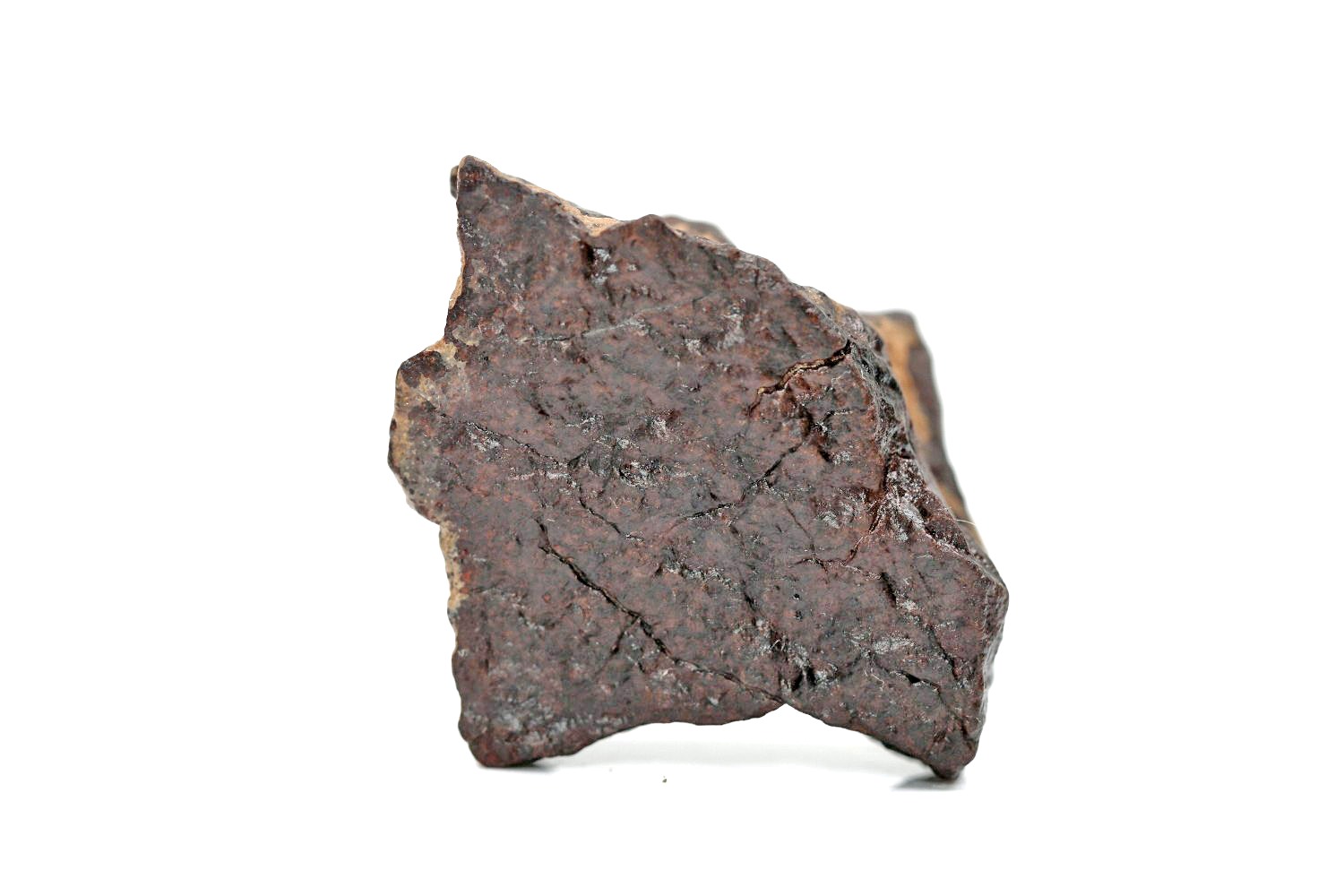 Dhofar 1722 Meteorit - 17,30 g