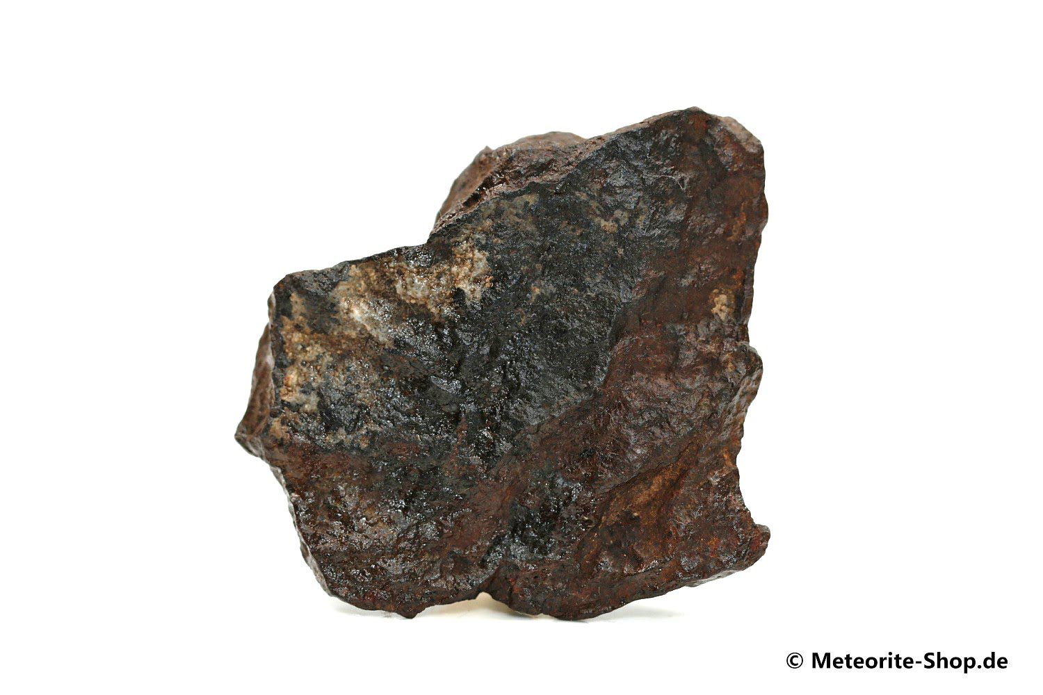 NWA Westsahara Meteorit - 24,20 g
