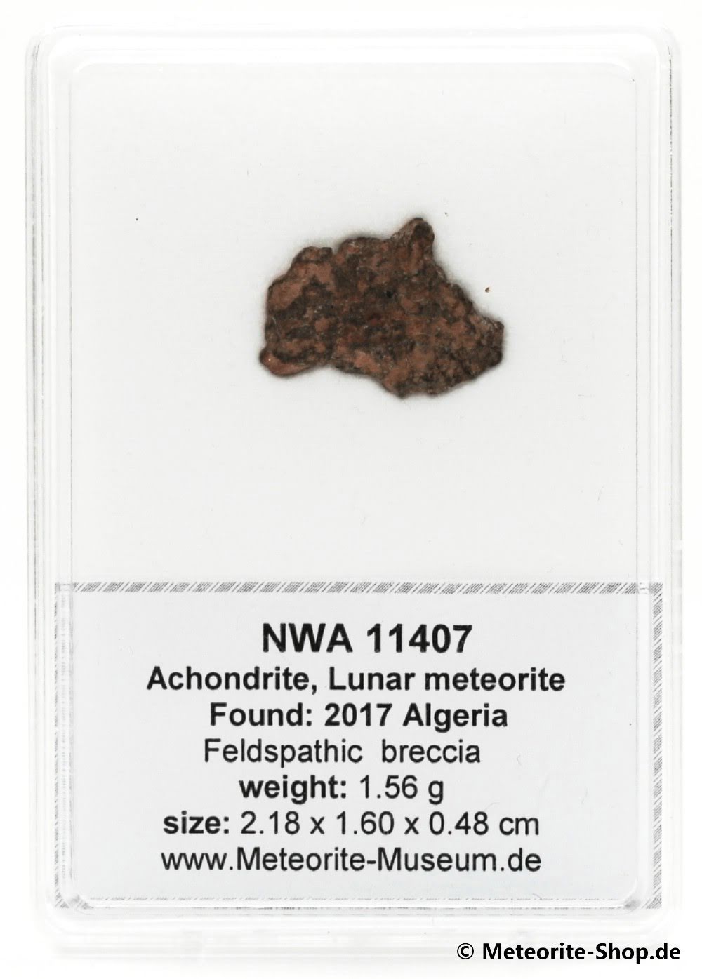 NWA 11407 Mond Meteorit - 1,560 g -