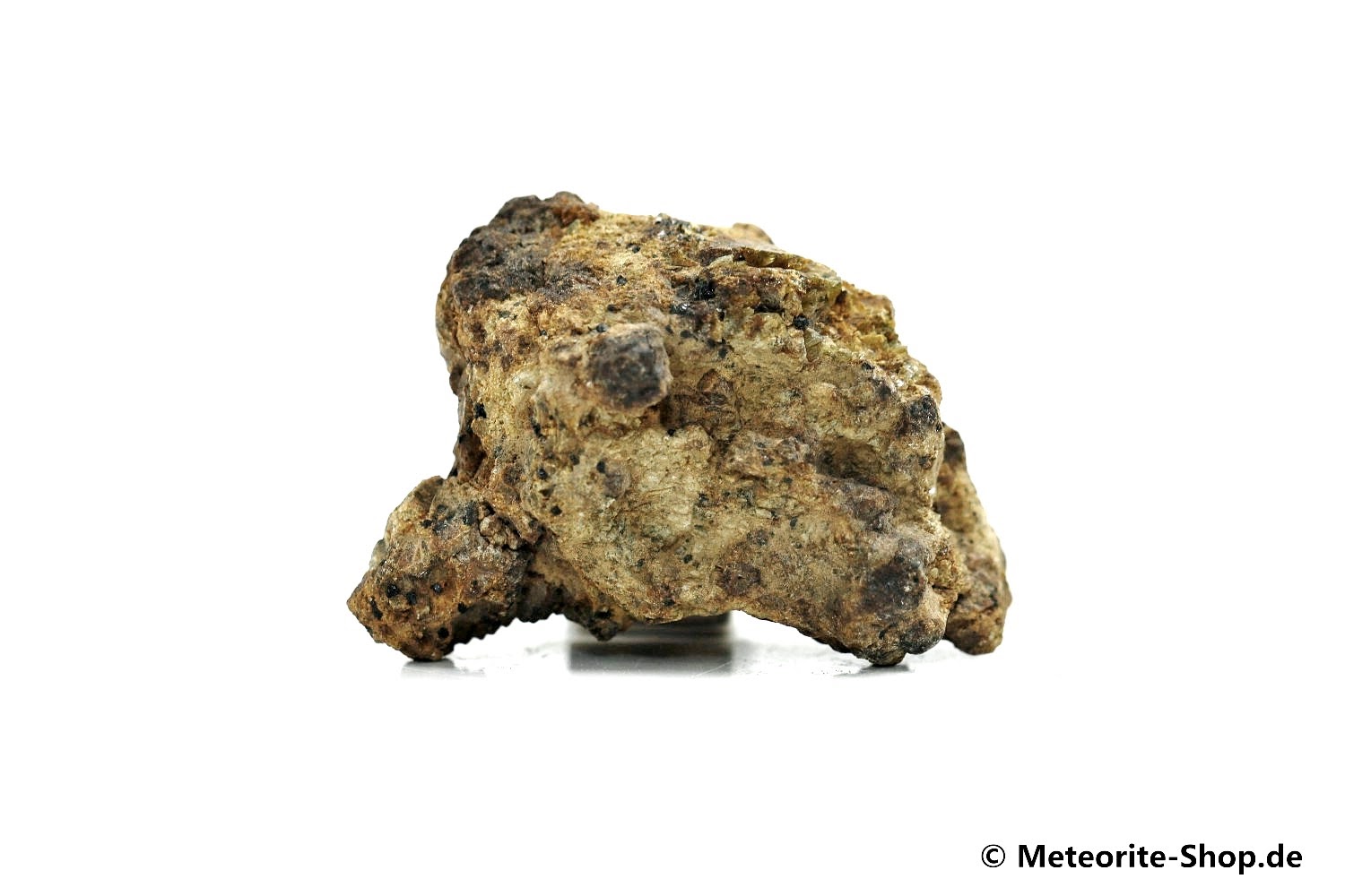 NWA 12953 Meteorit - 20,00 g