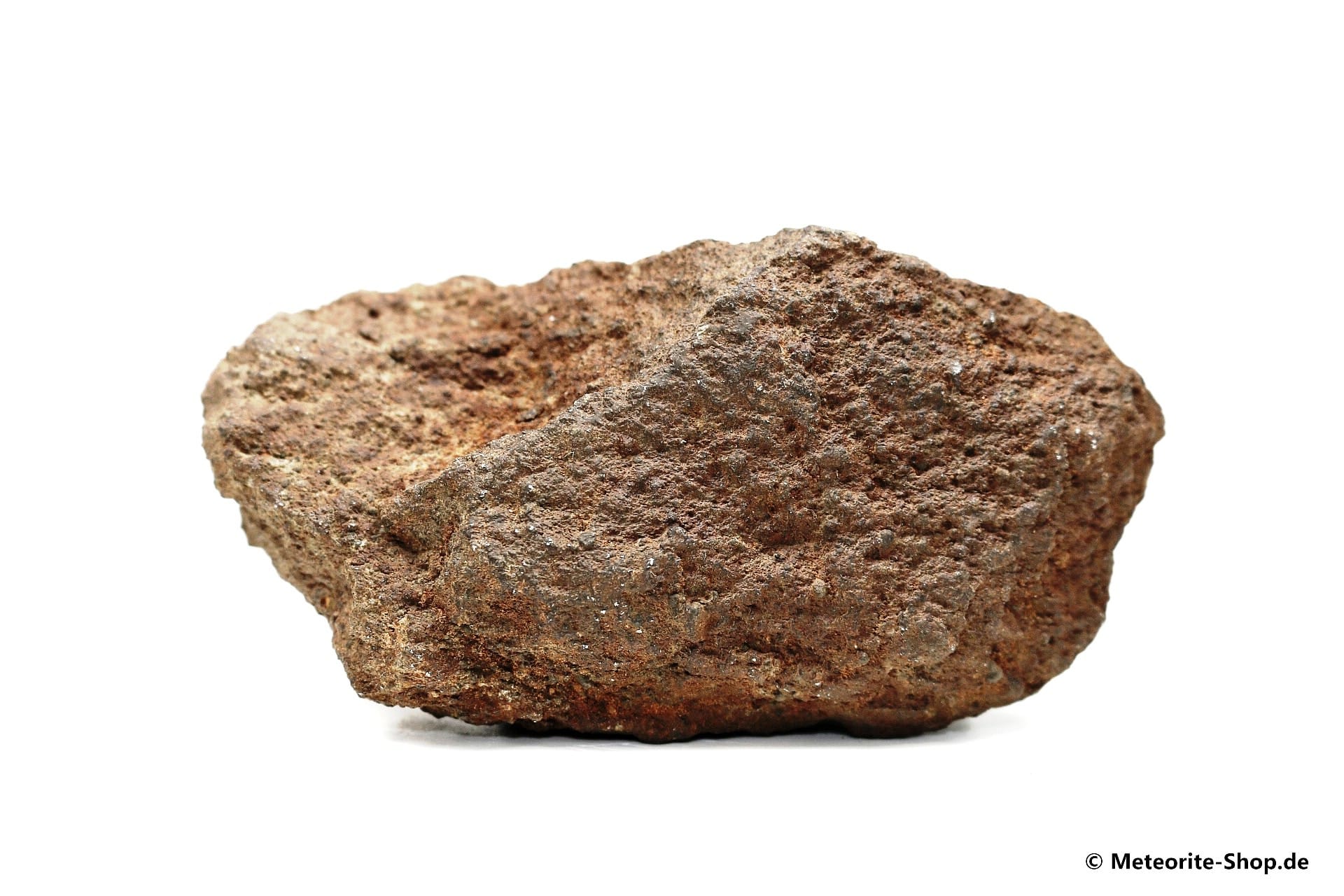 NWA Westsahara Meteorit - 320,40 g