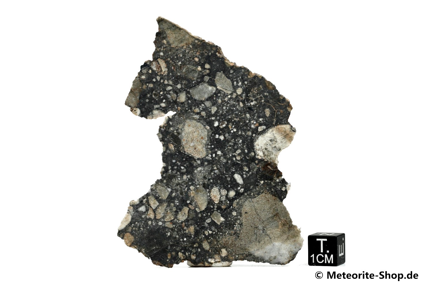 NWA 11407 Mond Meteorit - 14,62 g