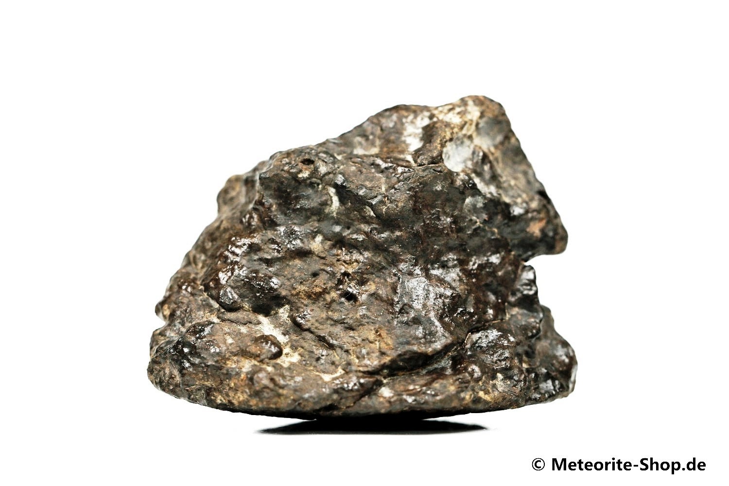 NWA Ouarzazate Meteorit - 96,80 g