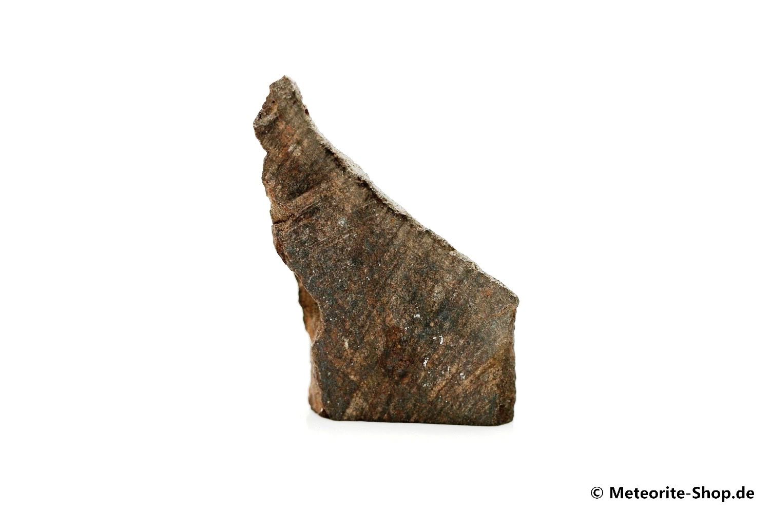 Dhofar 020 Meteorit - 5,30 g