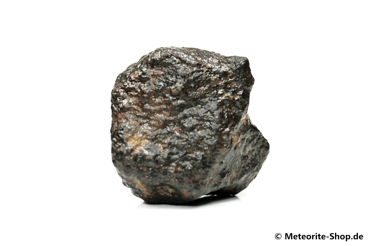 NWA Westsahara Meteorit - 65,00 g