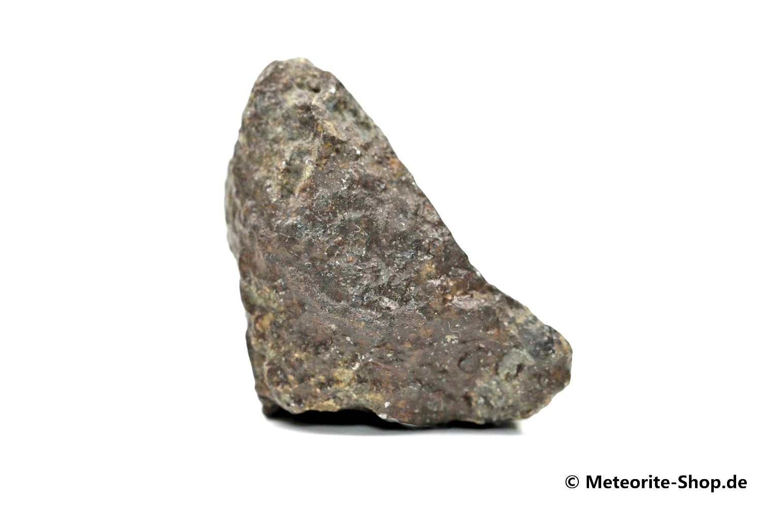 NWA 869 Meteorit - 42,30 g