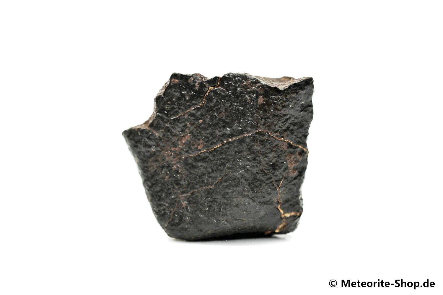 NWA Erfoud Meteorit - 26,80 g