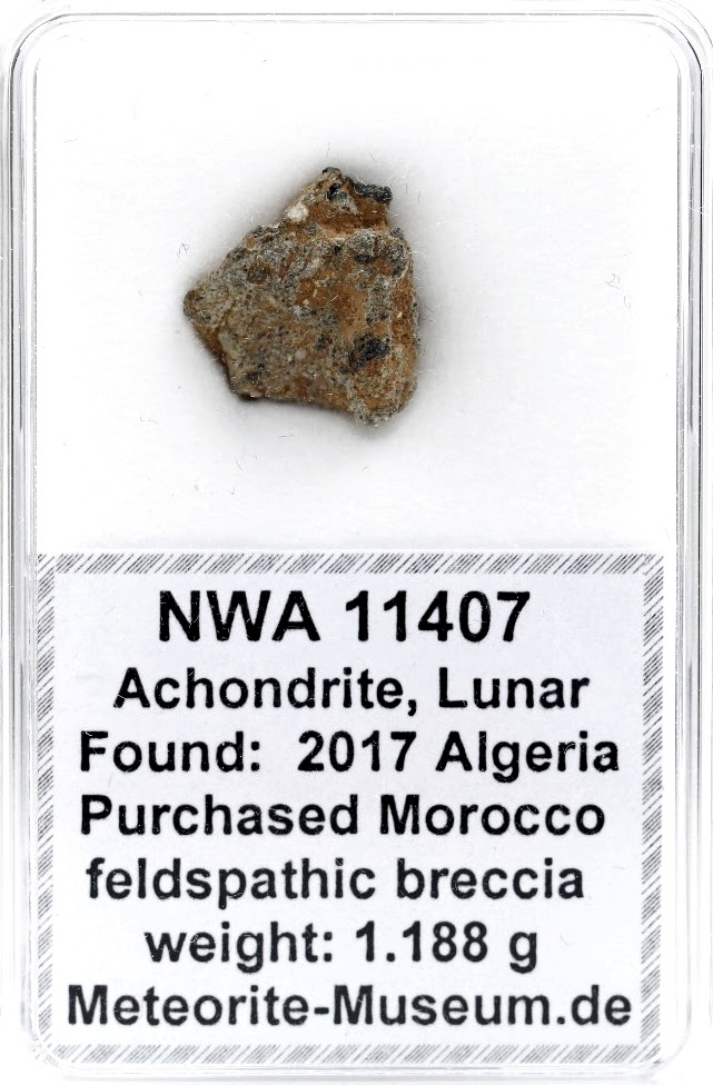 NWA 11407 Mond Meteorit - 1,188 g