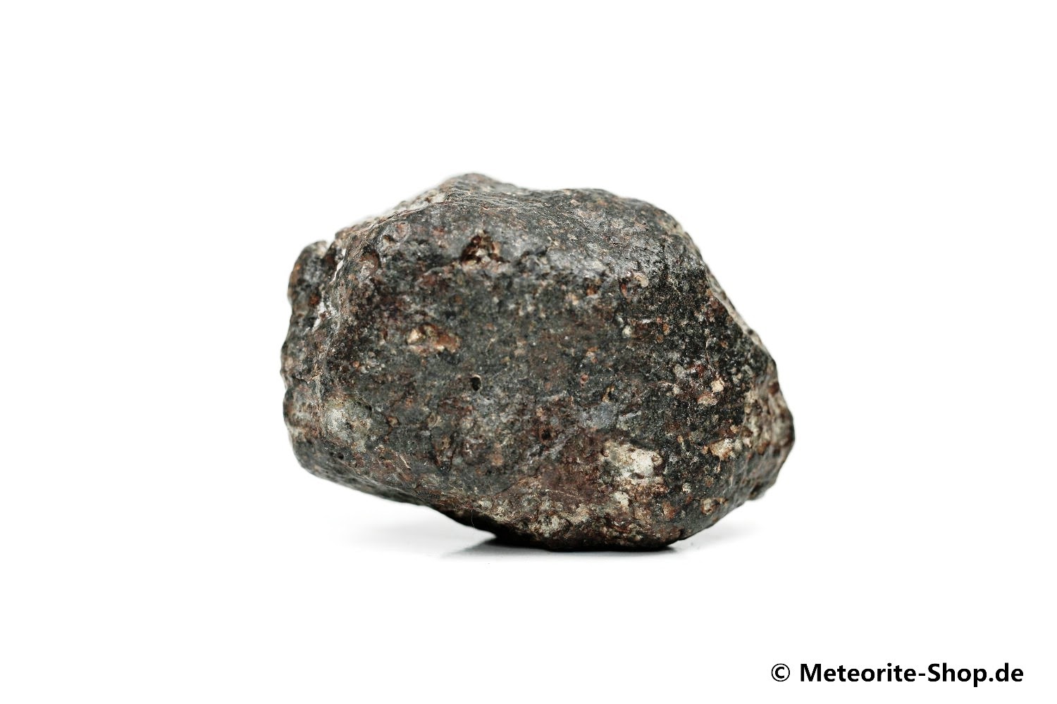 NWA 869 Meteorit - 46,30 g