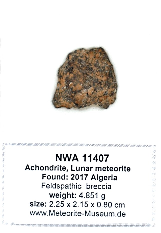 NWA 11407 Mond Meteorit - 4,851 g