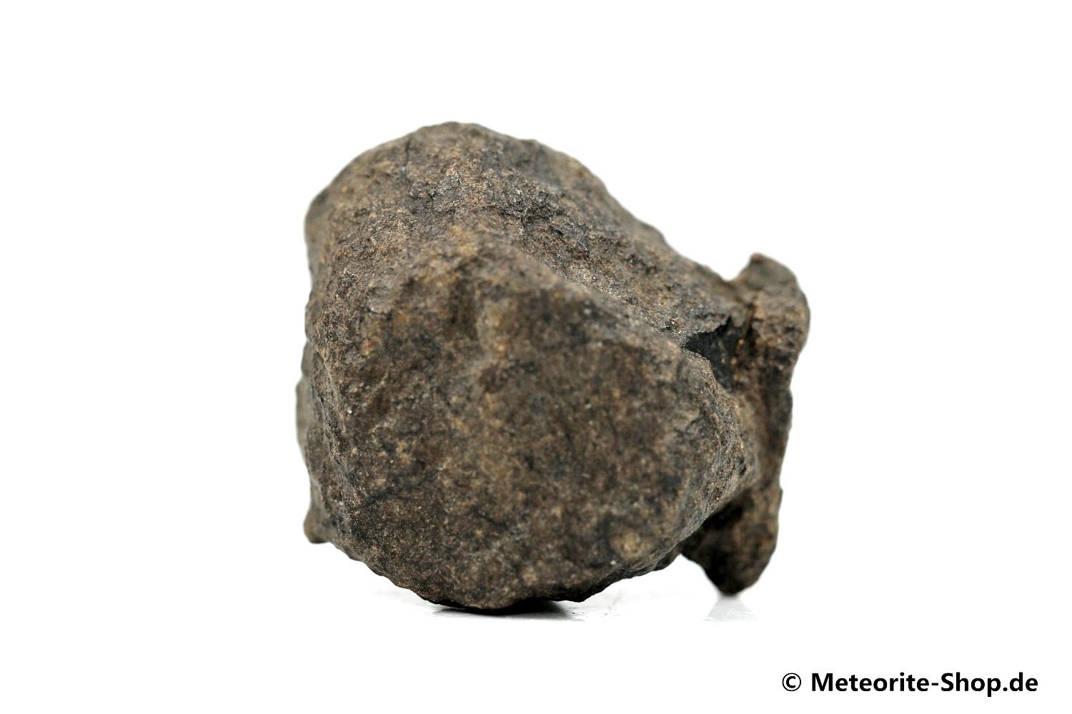 NWA Tagounite Meteorit - 21,90 g