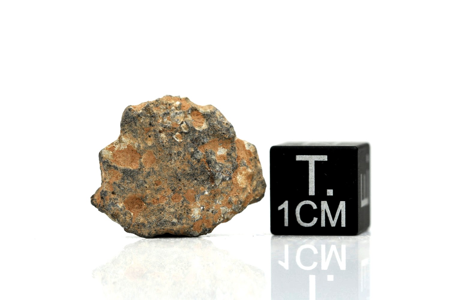 NWA 11407 Mond Meteorit - 2,216 g