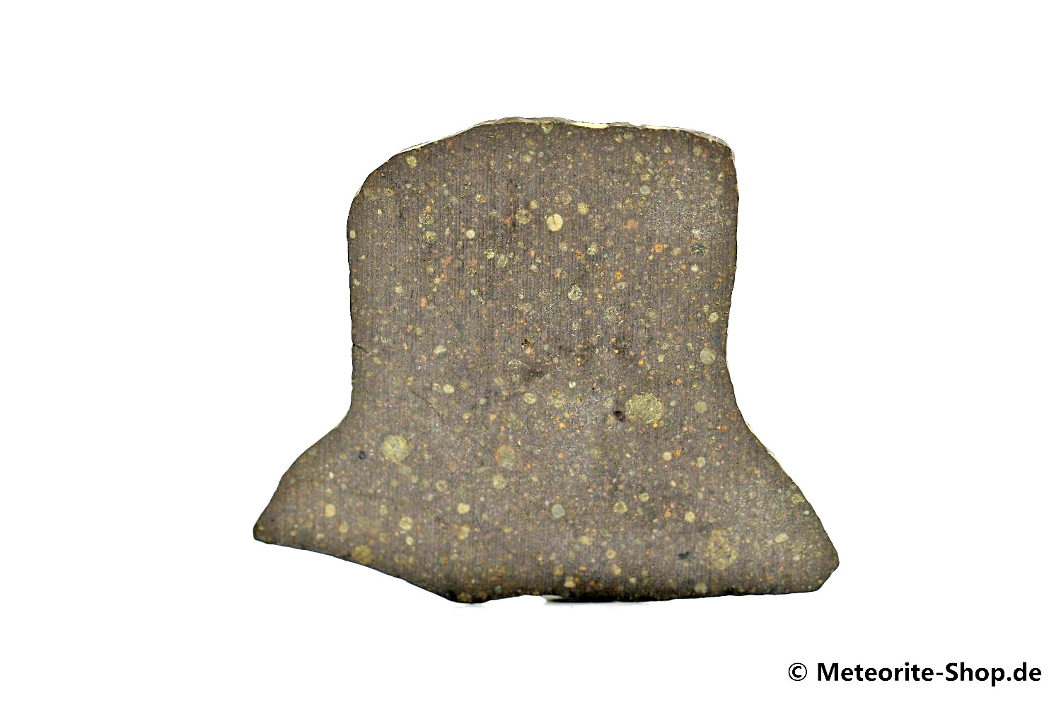 Gouchi 001 Meteorit - 3,70 g