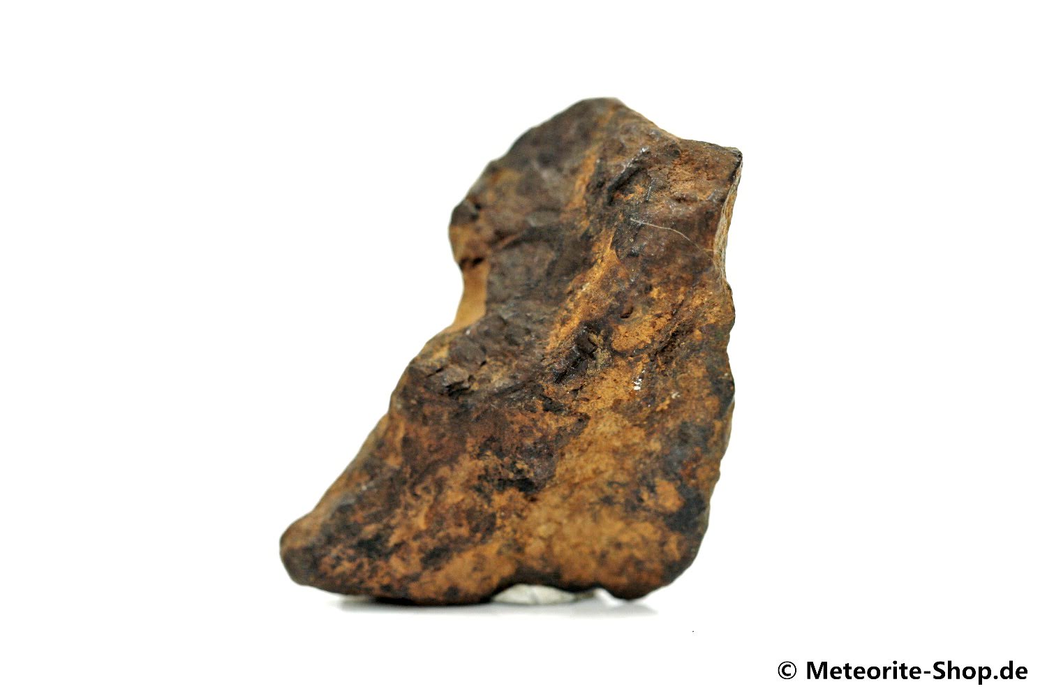 NWA 859 Meteorit - 11,80 g