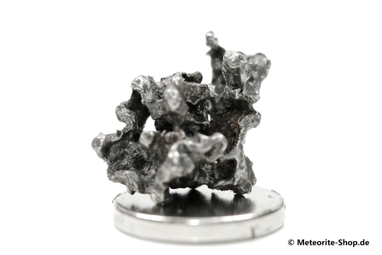 Campo del Cielo Meteorit - 1,44 g