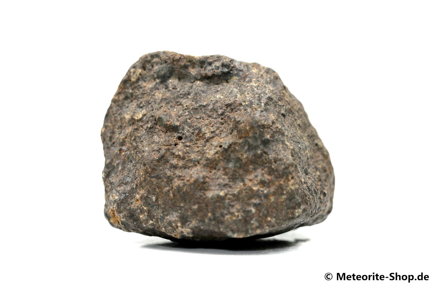 NWA 869 Meteorit - 62,80 g