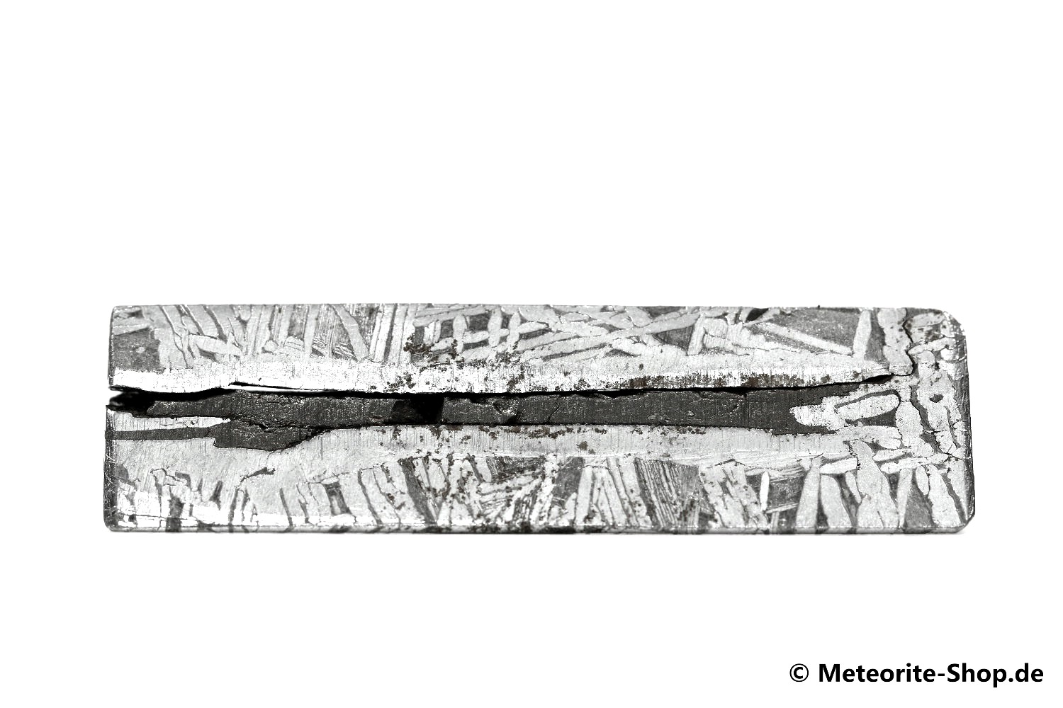 Aletai Meteorit - 31,80 g