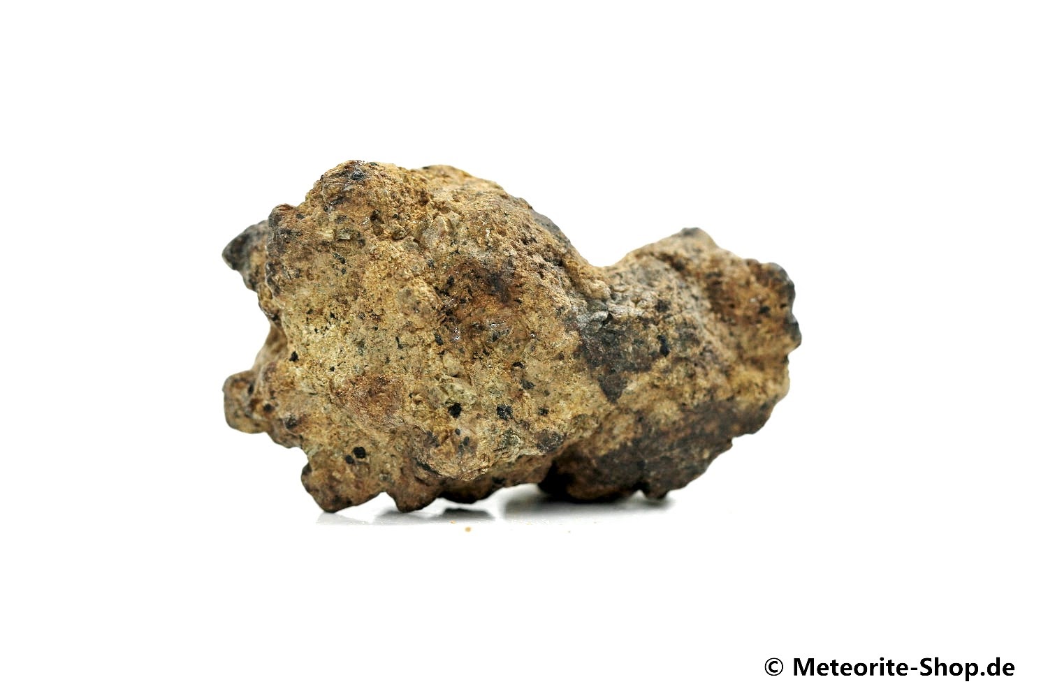 NWA 12953 Meteorit - 22,50 g