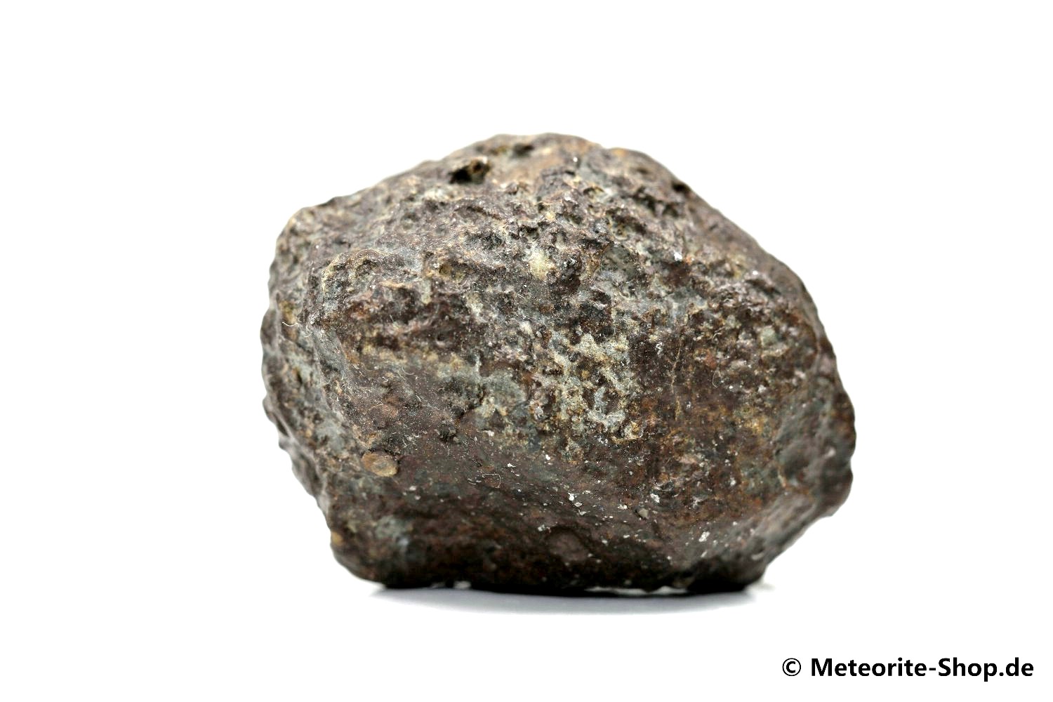 NWA 869 Meteorit - 63,50 g