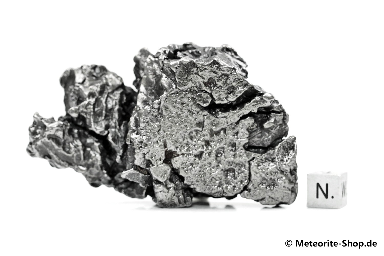 Campo del Cielo Meteorit - 252,60 g
