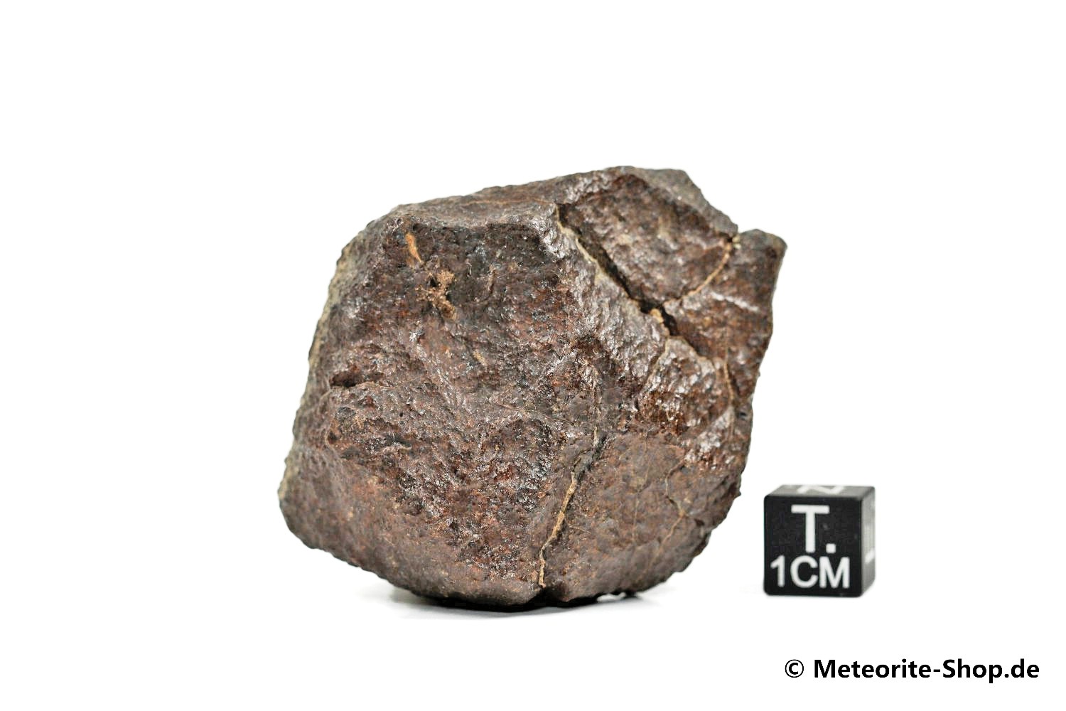 NWA Westsahara Meteorit - 100,60 g