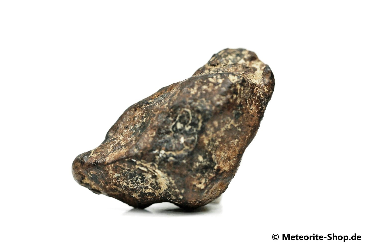 NWA 859 Meteorit - 15,20 g