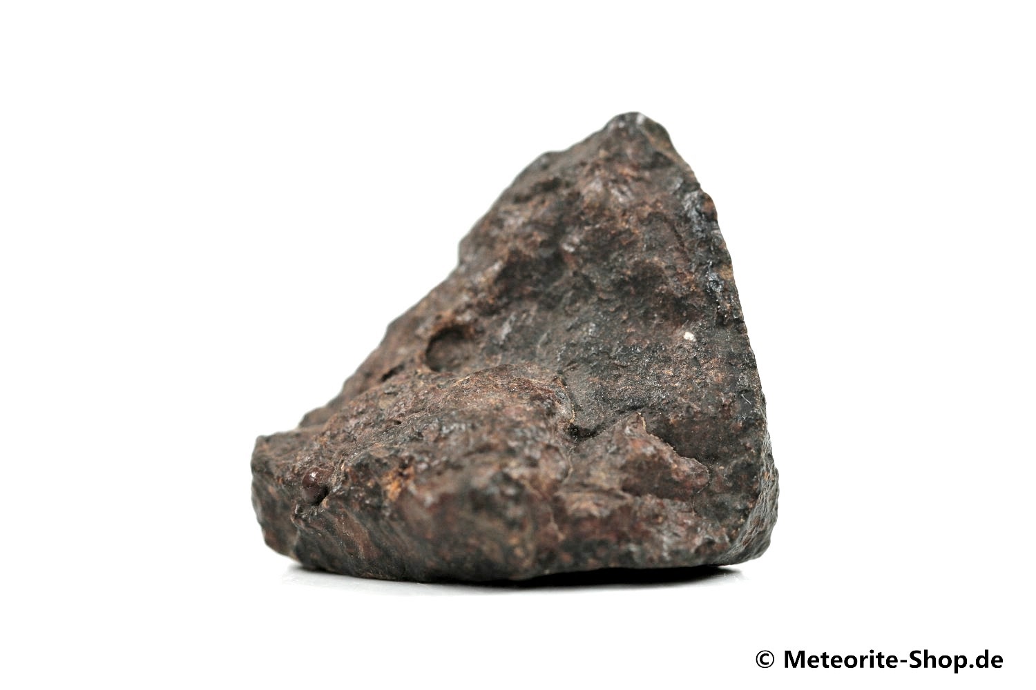 NWA Tagounite Meteorit - 10,90 g