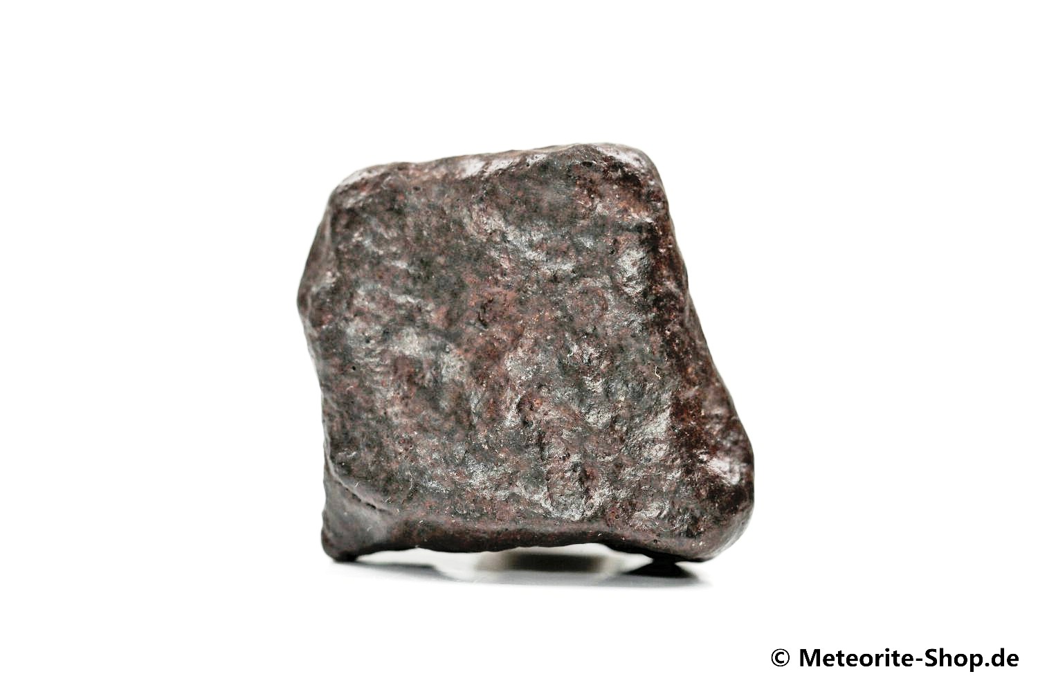 NWA Erfoud Meteorit - 31,90 g