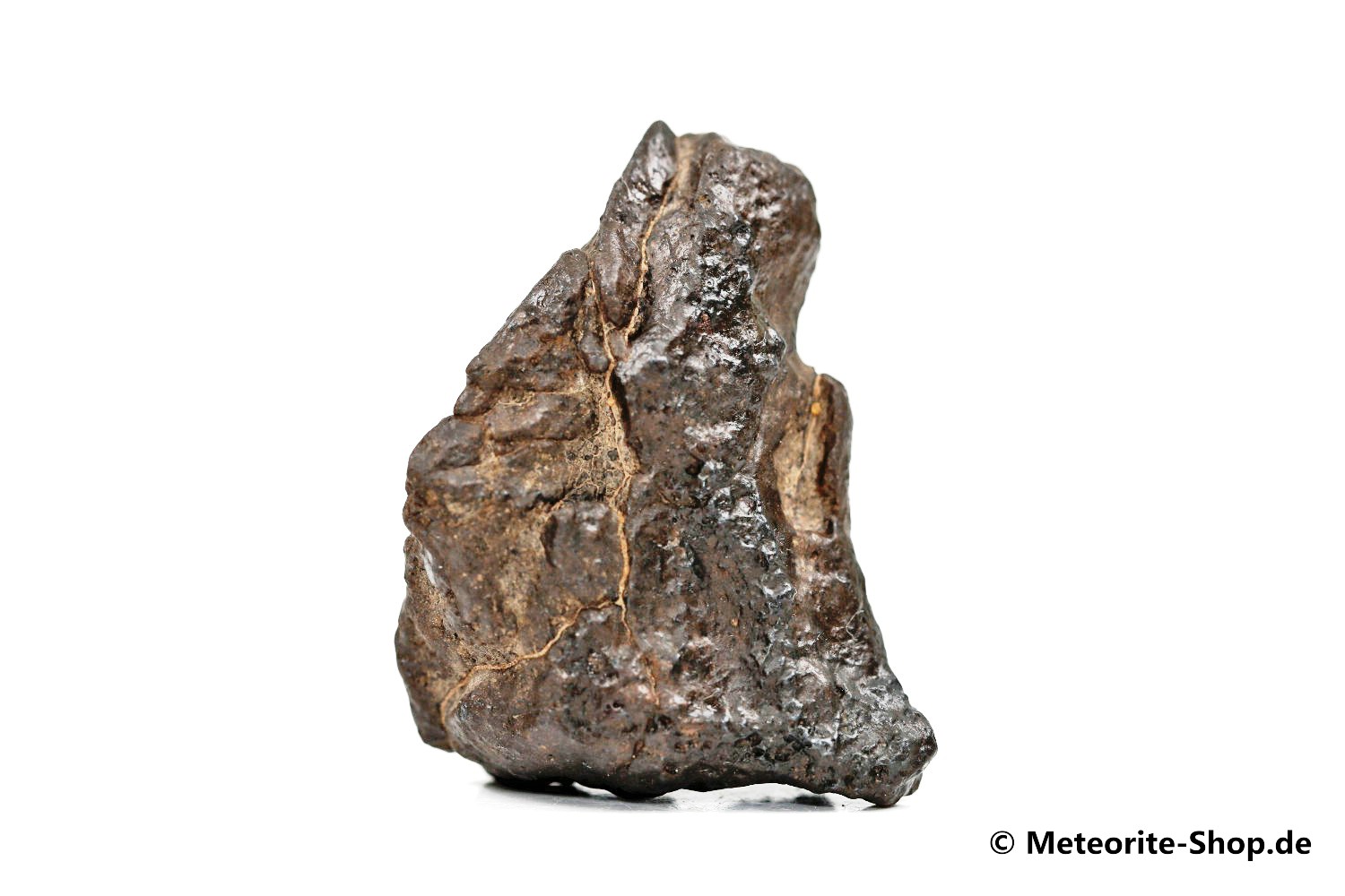 Taoudenni 003 Meteorit - 21,70 g