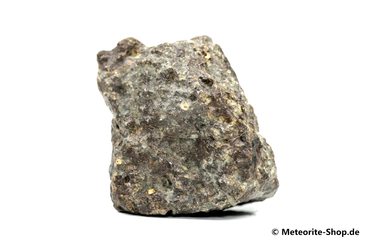 NWA 869 Meteorit - 83,00 g