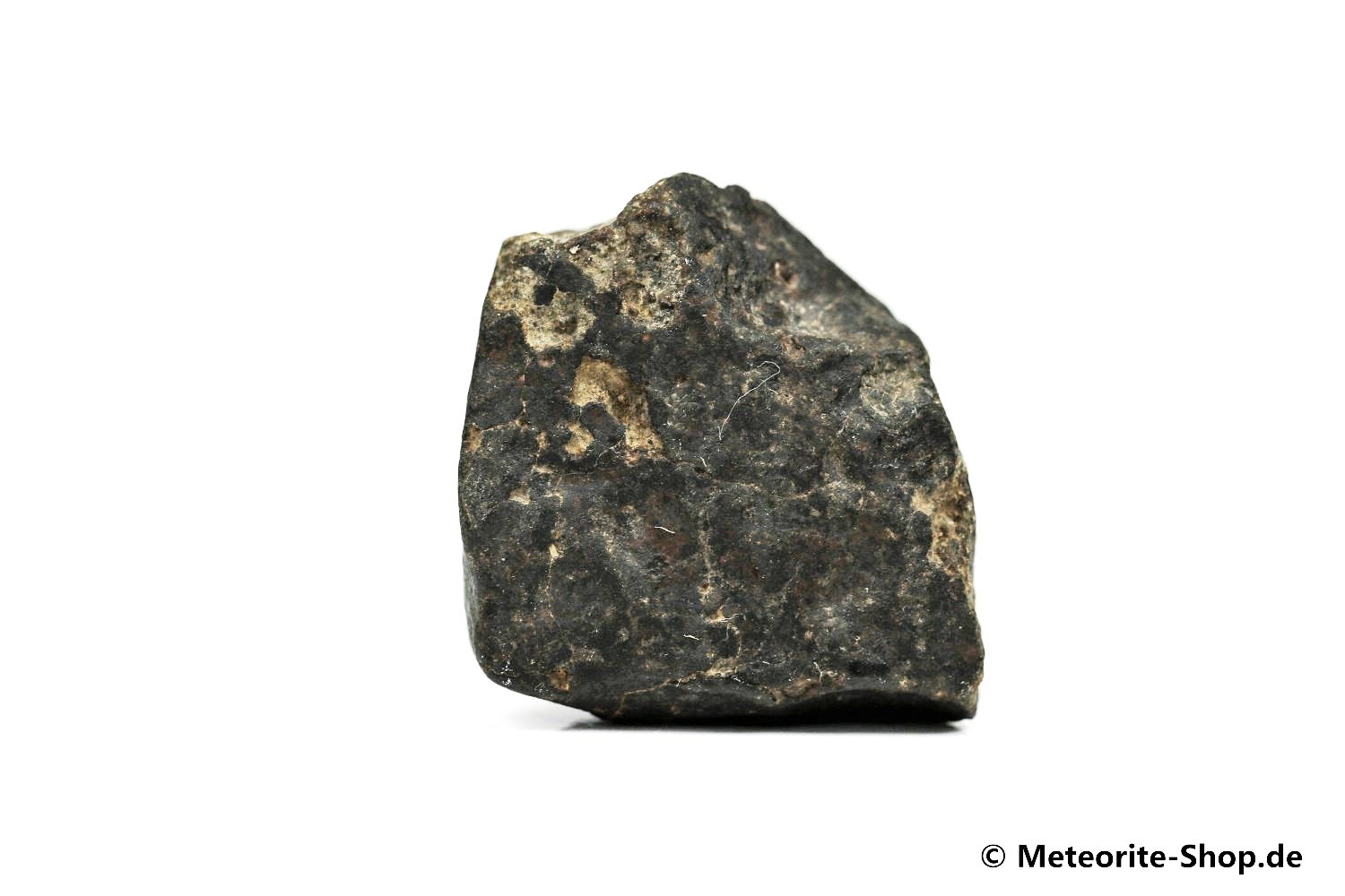 NWA Casablanca Meteorit - 19,00 g