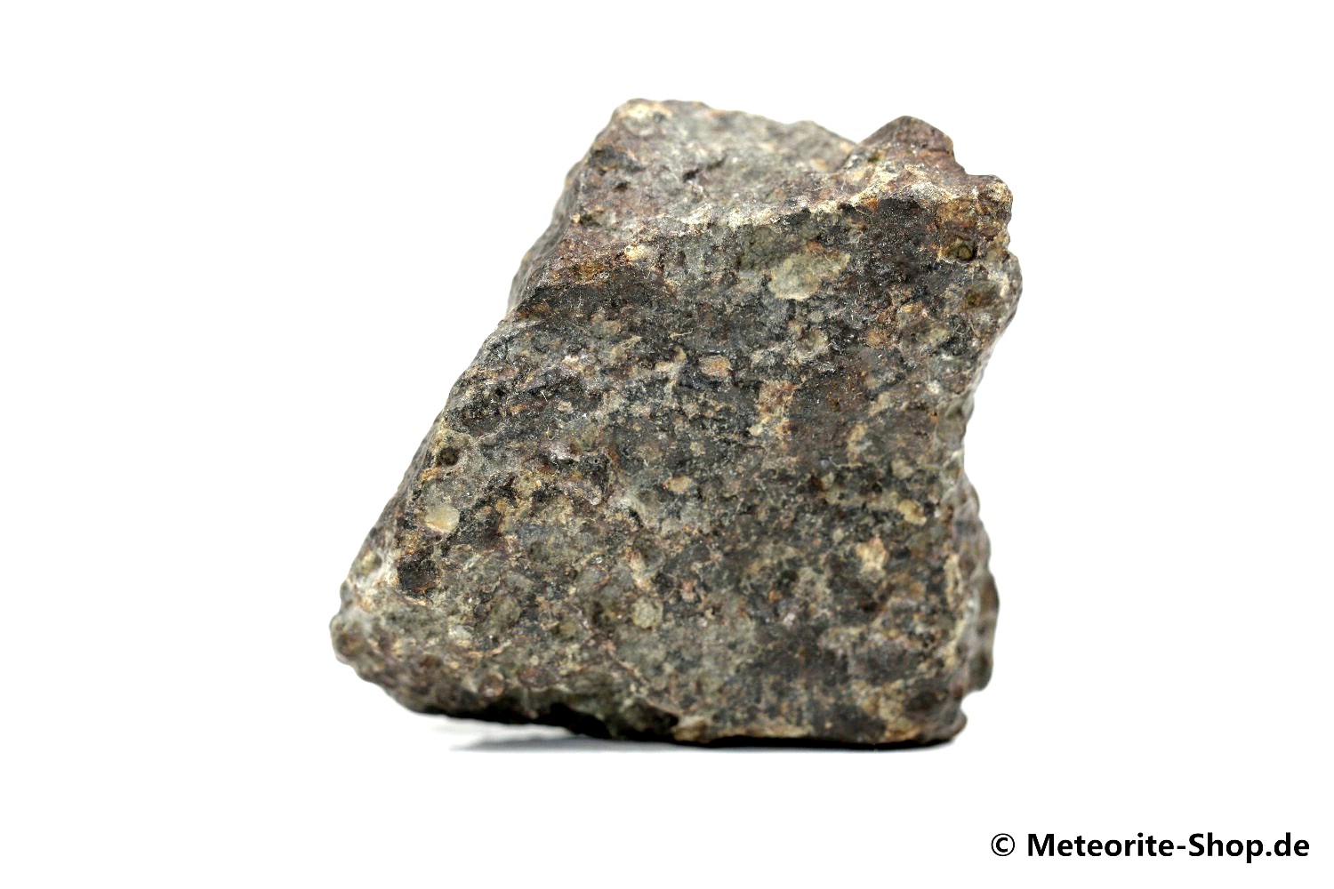 NWA 869 Meteorit - 83,00 g