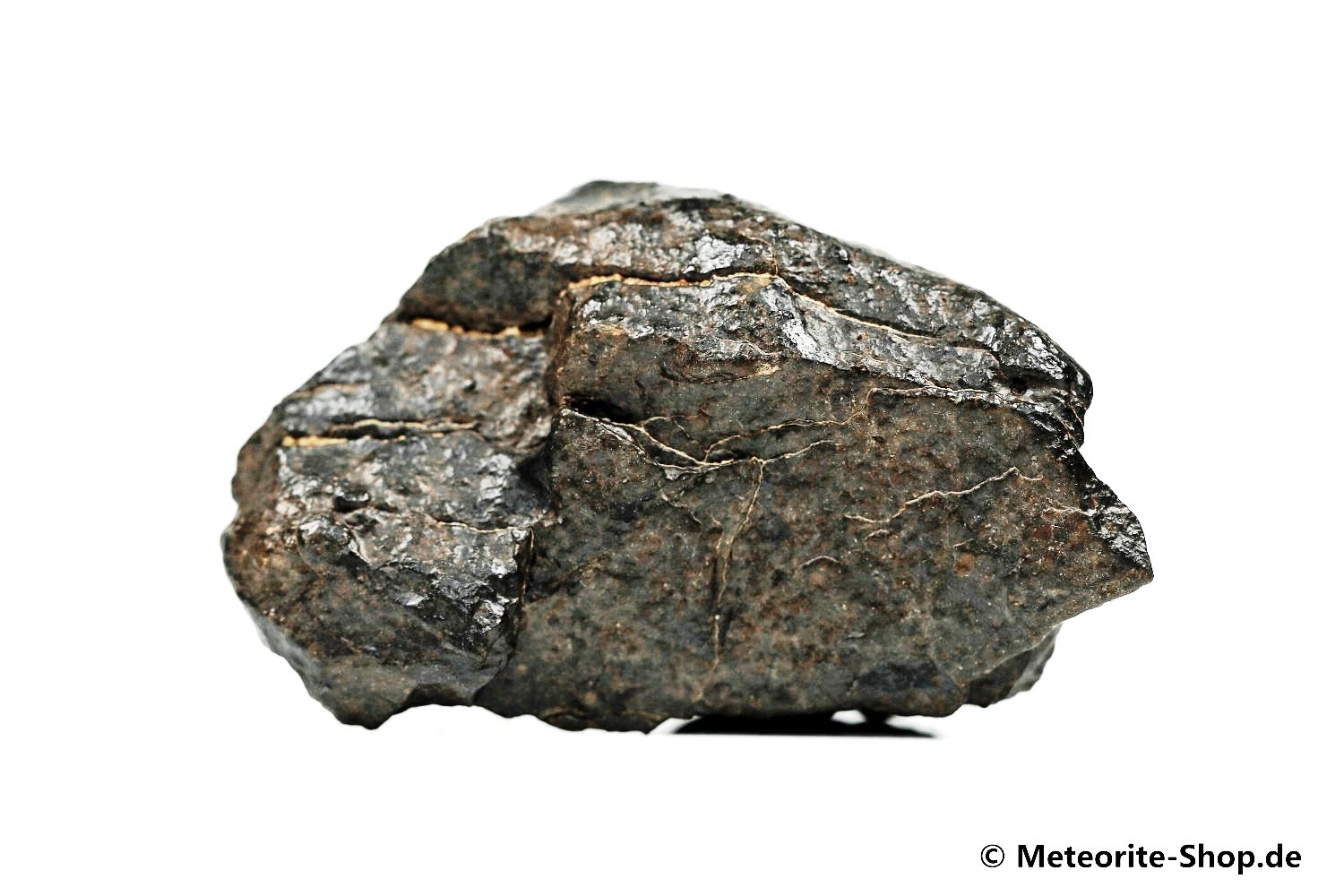 NWA Westsahara Meteorit - 78,90 g