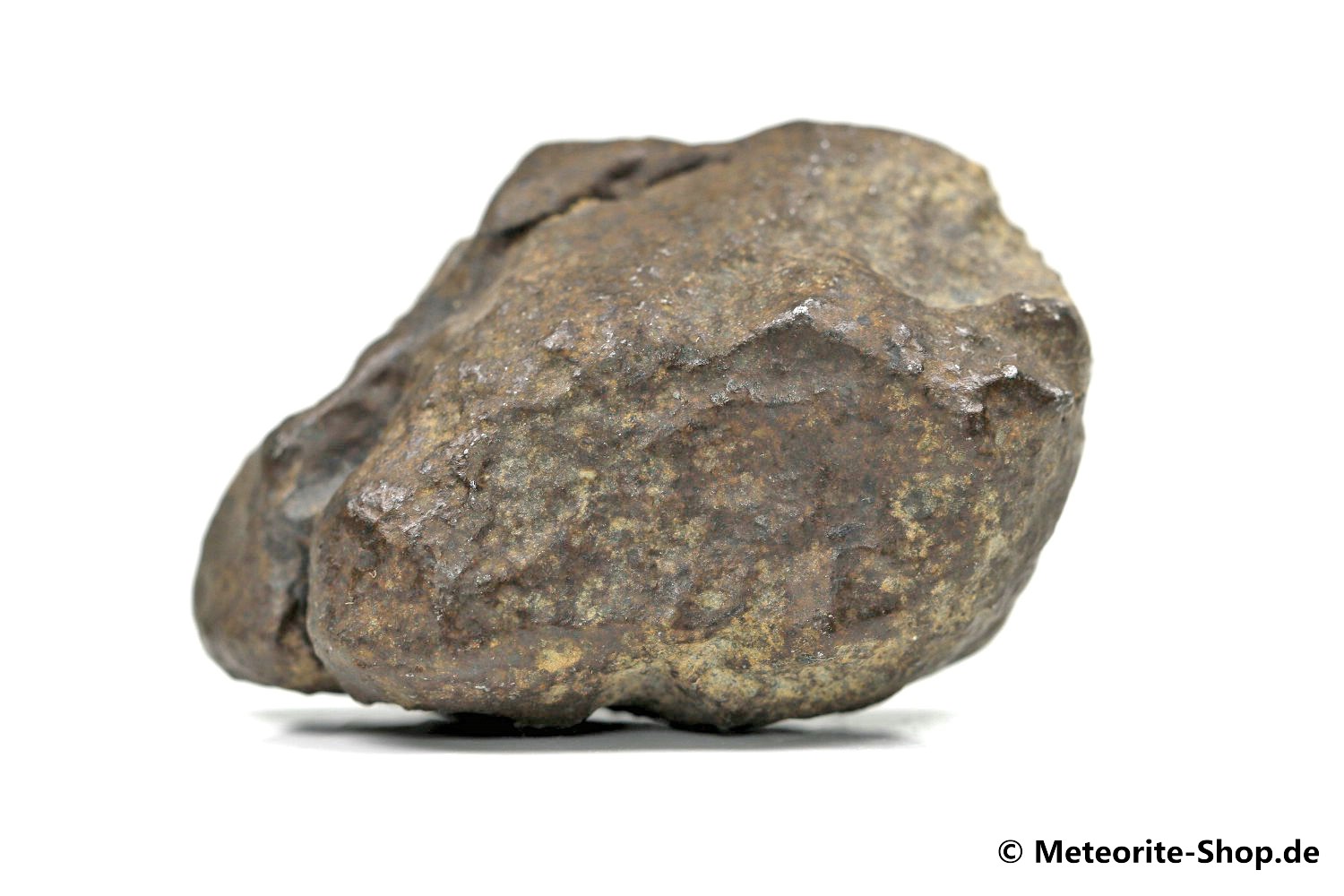 NWA Sahara Meteorit - 52,40 g