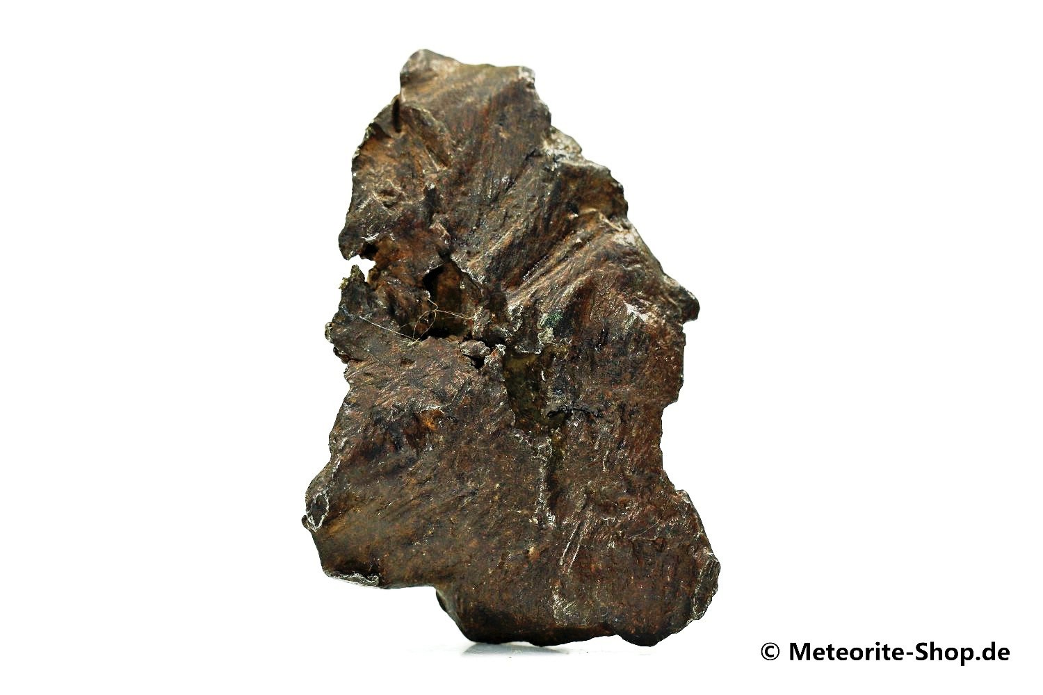 Sikhote-Alin Meteorit - 48,20 g