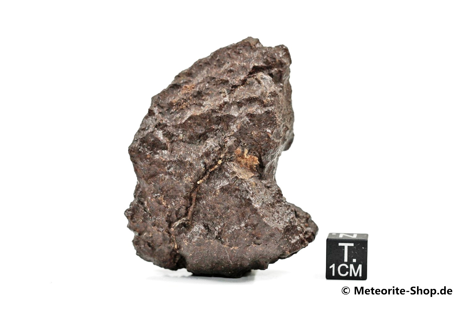 NWA Westsahara Meteorit - 84,70 g