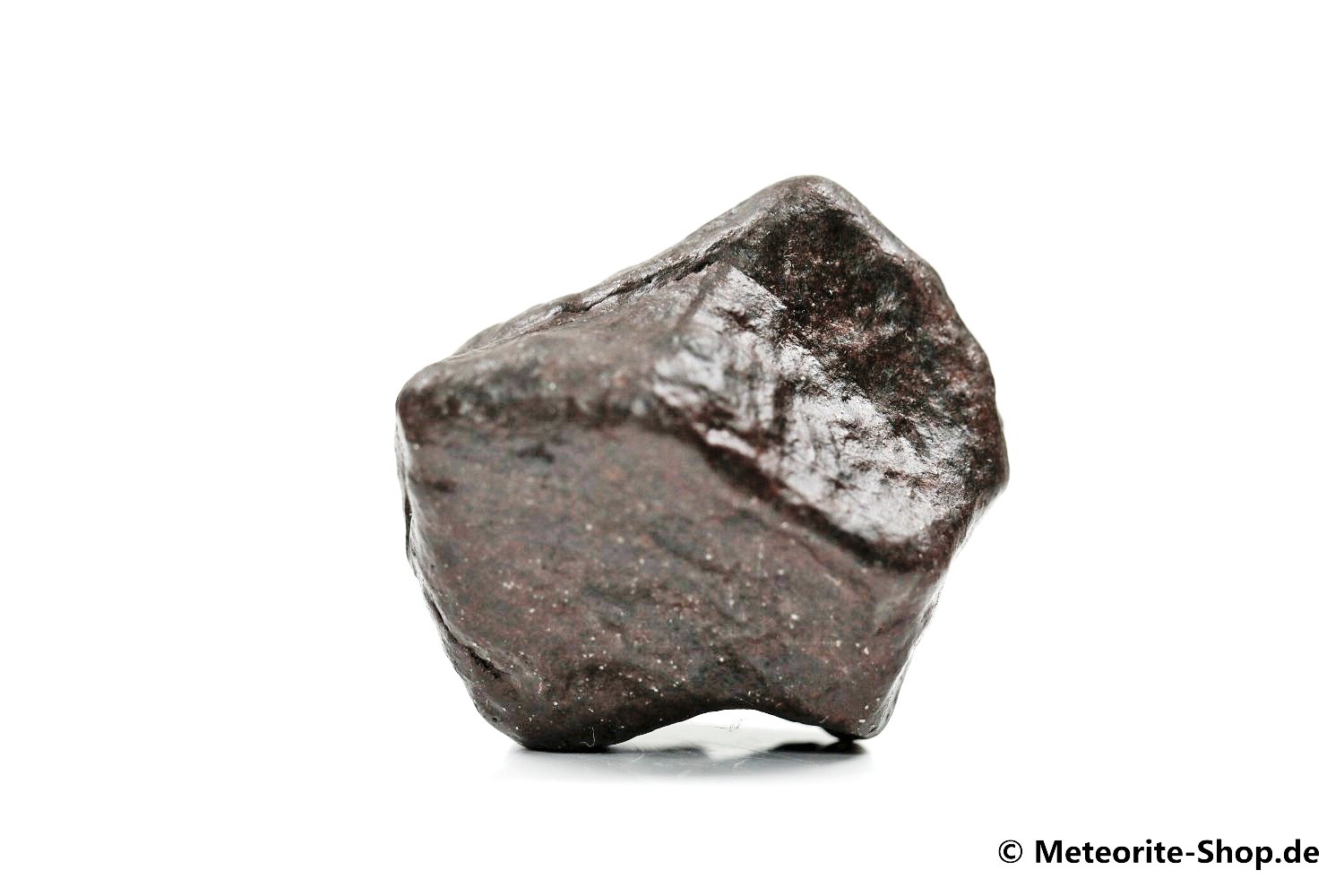 NWA Erfoud Meteorit - 34,50 g