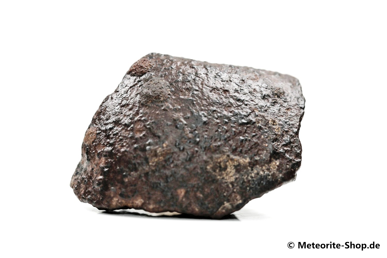 NWA Zagora Meteorit - 55,70 g